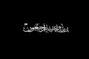 شهادت خادم الرضا (ع) آیت الله رئیسی رئیس جمهور جهادی، مردمی و محبوب ایران و هیئت همراه را به تمام ملت شریف ایران خصوصاً پرسنل محترم مجتمع تولیدی و تحقیقاتی انستیتو پاستور ایران تسلیت عرض می کنیم.